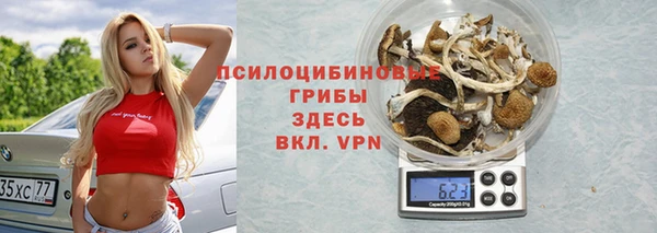 спиды Алзамай