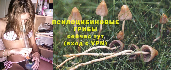 спиды Алзамай